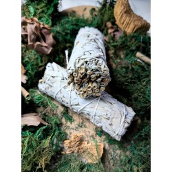 Biała szałwia kalifornijska 10 cm 30g