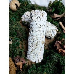 Zestaw - Biała Szałwia Kalifornijska 10 cm 30g  - 4 x Walec