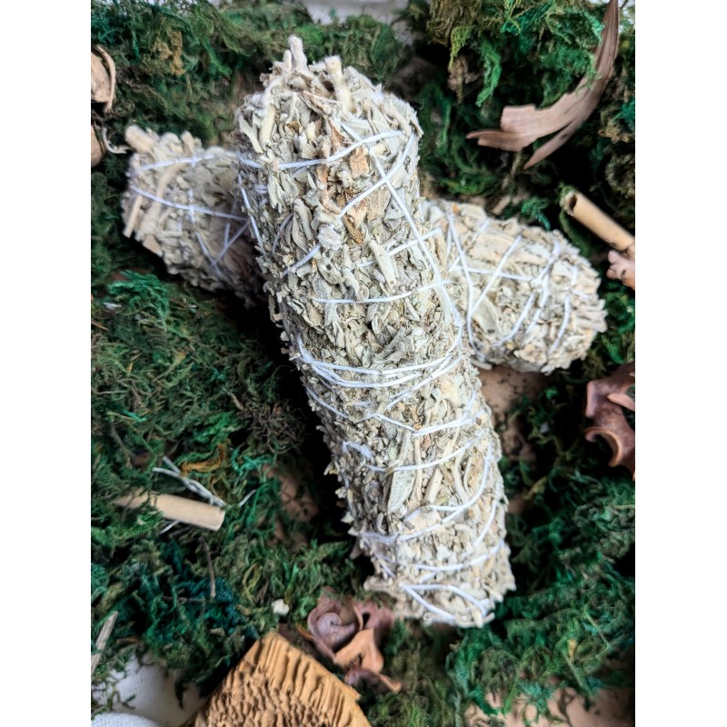 Biała szałwia indyjska 10 cm 30g