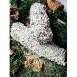 Biała szałwia indyjska 10 cm 30g