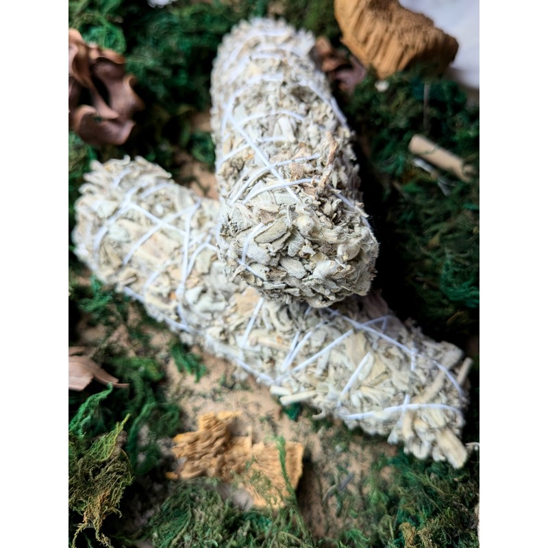 Zestaw - Biała Szałwia Indyjska 10 cm 30g  - 4 x Walec